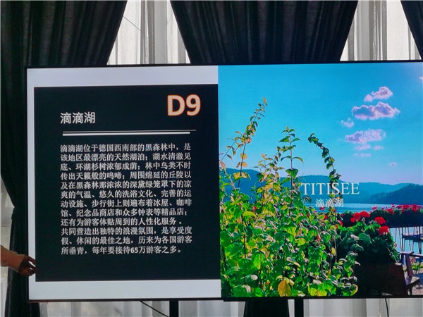 四川(chuān)中青旅绵阳分社独家定制圆梦欧(ōu)洲系列(liè) - 大(dà)全景(jǐng) 9 国 16 天 德(dé)国(guó)-法国-瑞士-意大(dà)利-奥地利(lì)-荷(hé)兰-比利时-列支敦士登-卢森堡